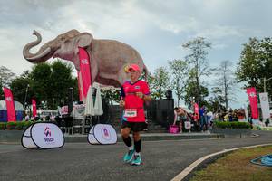 BIB: 
                            <button type="button" onclick="openModal(26528849)" class="btn btn-primary btn-sm float-right btn-popup" data-toggle="modal" data-target=".modal-high-quality">
                        <i class="fas fa-shopping-cart"></i> Add to Cart
                    </button>
                                            <button type="button" onclick="isThisMe(26528849, true)" class="btn btn-success btn-sm float-right btn-popup btn-isme hidden" data-toggle="tooltip" data-placement="bottom" title="นี่คือรูปของคุณใช่ไหม คลิกที่นี่เพื่อเอาเข้าอัลบั้ม">
                        <i class="fas fa-plus"></i> Add to album
                    </button>
                    <button type="button" onclick="isThisMe(26528849, false)" class="btn btn-warning btn-sm float-right btn-popup btn-isnotme hidden">
                        <i class="fas fa-ban"></i> Remove from album
                    </button>